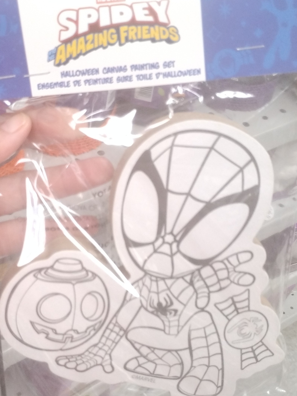 Kids Halloween Spiderman Art Canvas Paint it Yourself Set - White